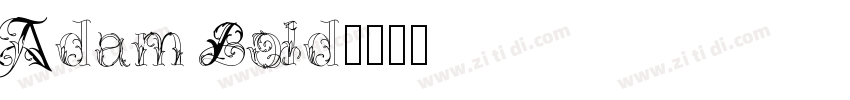 Adam Bold字体转换